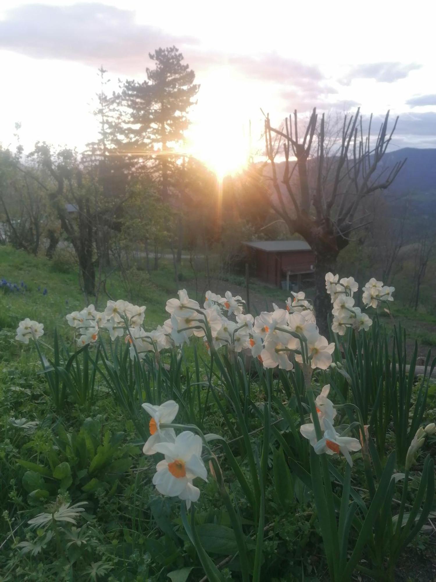 Ca' Dei Ste Bed & Breakfast Valle  Dış mekan fotoğraf